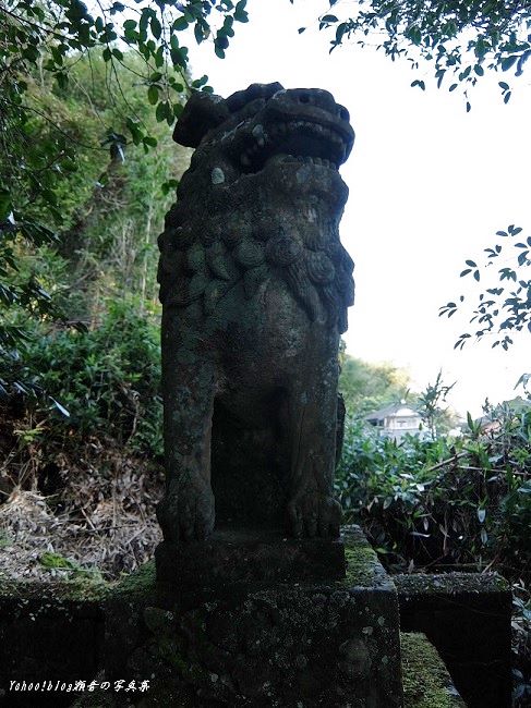亀川熊野坐神社狛犬