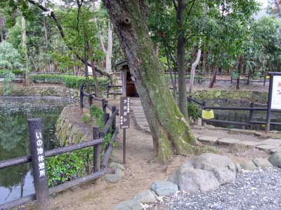 師岡熊野神社いの池