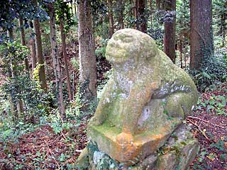 三島神社狛犬