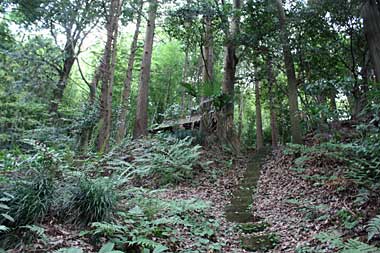 熊野権現堂遠景