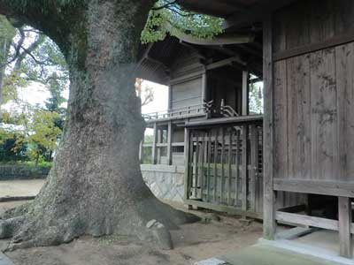 熊野原神社本殿