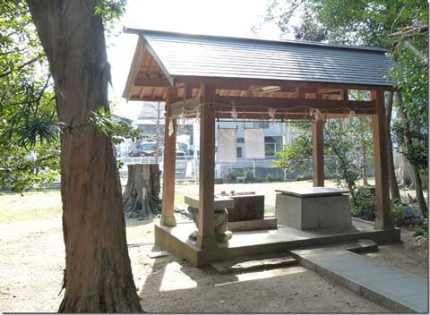 熊野神社手水舎ナギの木