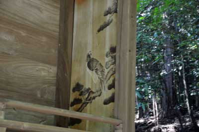 鷹見神社本殿に描かれている鷹の絵