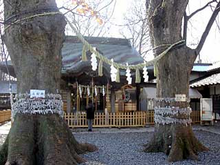 熊野宮拝殿