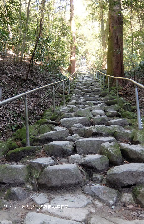 熊野神社石段