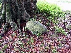 熊野神社力石