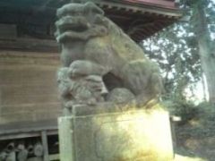 真岡市飯貝熊野神社狛犬