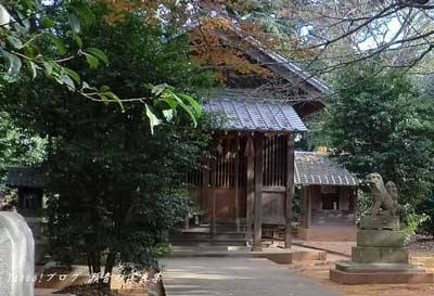 新宮神社社殿