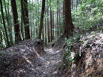 熊野神社への道