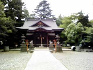 高徳神社拝殿